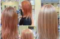 IMG-20210412-WA0022.jpg IMG-20210412-WA0022.jpg